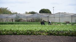 productores del cordon frutihorticola de la plata declaran la emergencia productiva y anuncian una protesta productores del cordon frutihorticola de la plata declaran la emergencia productiva y anuncian una protesta