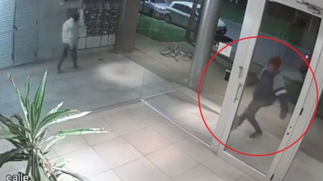 video: a las patadas, intentaron meterse a robar en un edificio de la plata