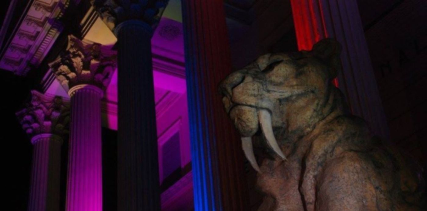 1595628396454.jpg?&cw=1920&ch=950