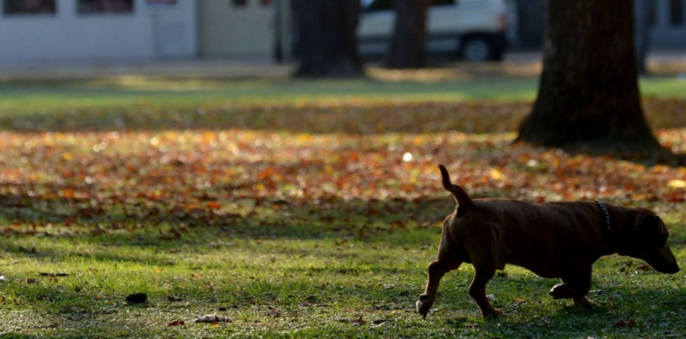 1555325800851.jpg?y=205&rotate=0&scaleX=1&scaleY=1&ow=1500&oh=952&x=17&width=1470&height=735&&cw=1920&ch=950