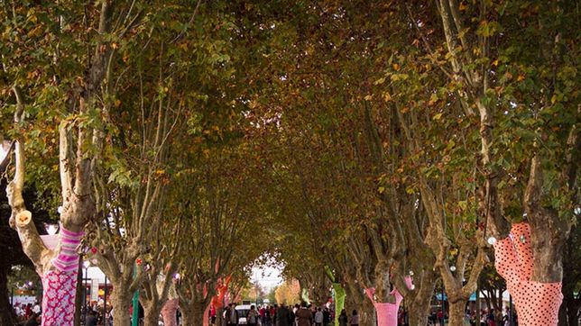 city bell festeja sus 104 anos de vida: conocela desde el aire