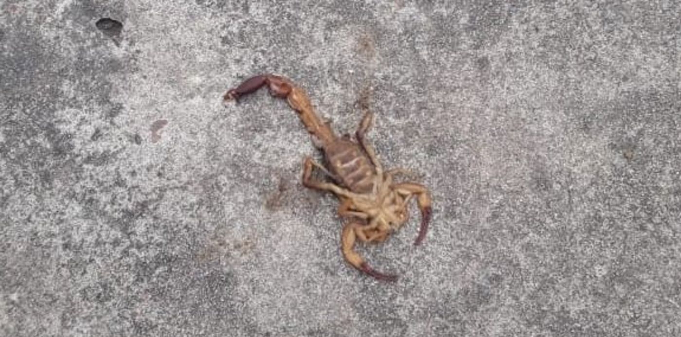 1549912229367.jpg?y=5&scaleY=1&oh=310&x=3&width=575&height=288&rotate=0&scaleX=1&ow=581&&cw=1920&ch=950