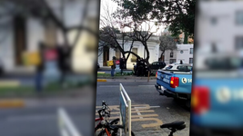 un joven se subio a un arbol en pleno centro y agredio con ramas a la gente que pasaba