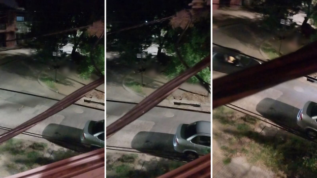 un vecino grabo en video el instante en que fue atacada la mujer asesinada en la plata