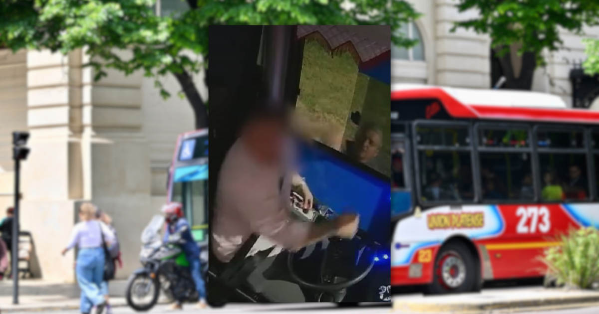 Identificaron al hombre que atacó a un chofer de micros en La Plata y ...