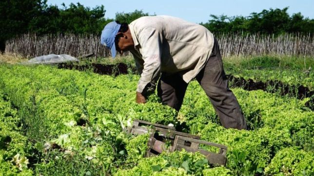 del campo a la gondola: los precios de los agroalimentos se triplicaron en octubre