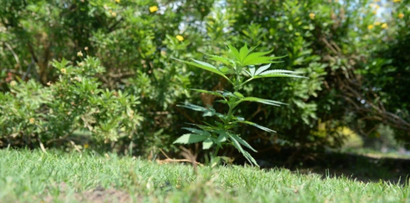 1606226320501.jpeg?x=6&y=169&width=1268&height=634&rotate=0&scaleX=1&scaleY=1&ow=1280&oh=850&&cw=1920&ch=950