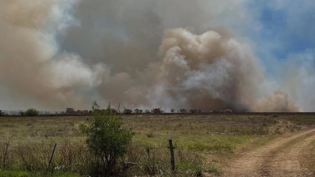un nuevo incendio forestal en la reserva de punta lara encendio las alarmas