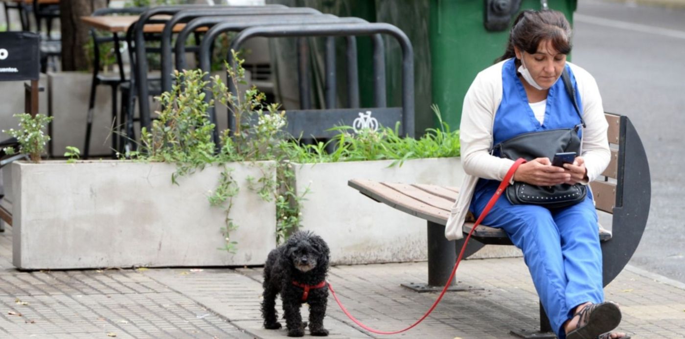 1619175294659.jpg?x=8&y=427&width=1476&height=738&rotate=0&scaleX=1&scaleY=1&ow=1500&oh=1218&&cw=1920&ch=950