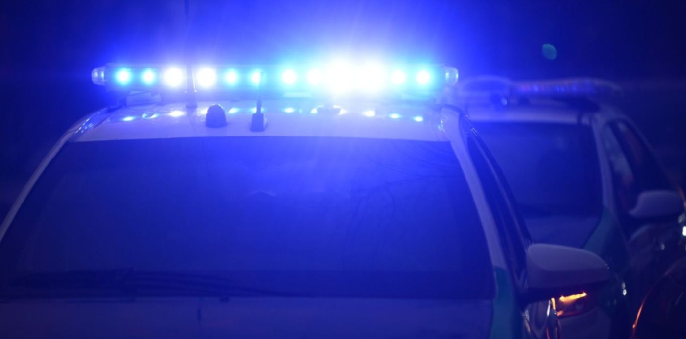 1558128449042.jpg?width=1479&height=739&rotate=0&scaleX=1&ow=1500&oh=996&x=11&y=19&scaleY=1&&cw=1920&ch=950