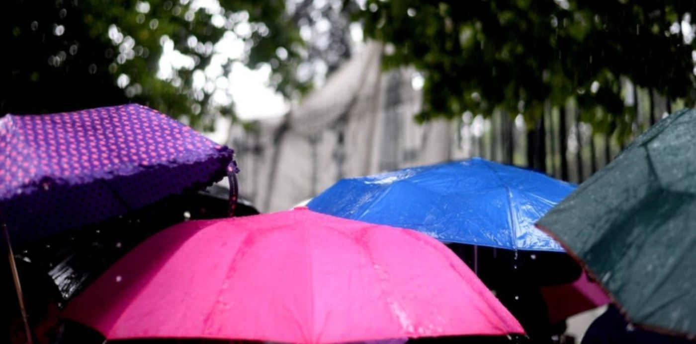 1612189533429.jpeg?x=11&y=205&width=1215&height=607&rotate=0&scaleX=1&scaleY=1&ow=1232&oh=820&&cw=1920&ch=950