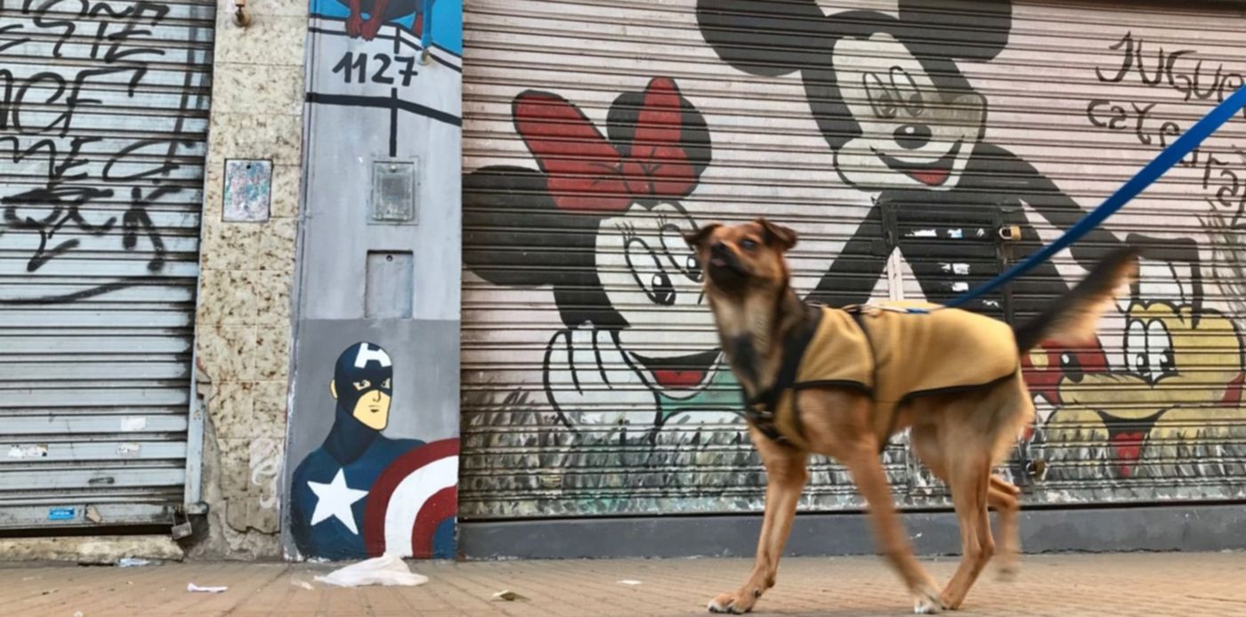 1568401594906.jpeg?width=1490&ow=1500&x=2&height=745&rotate=0&scaleX=1&scaleY=1&oh=1034&y=248&&cw=1920&ch=950