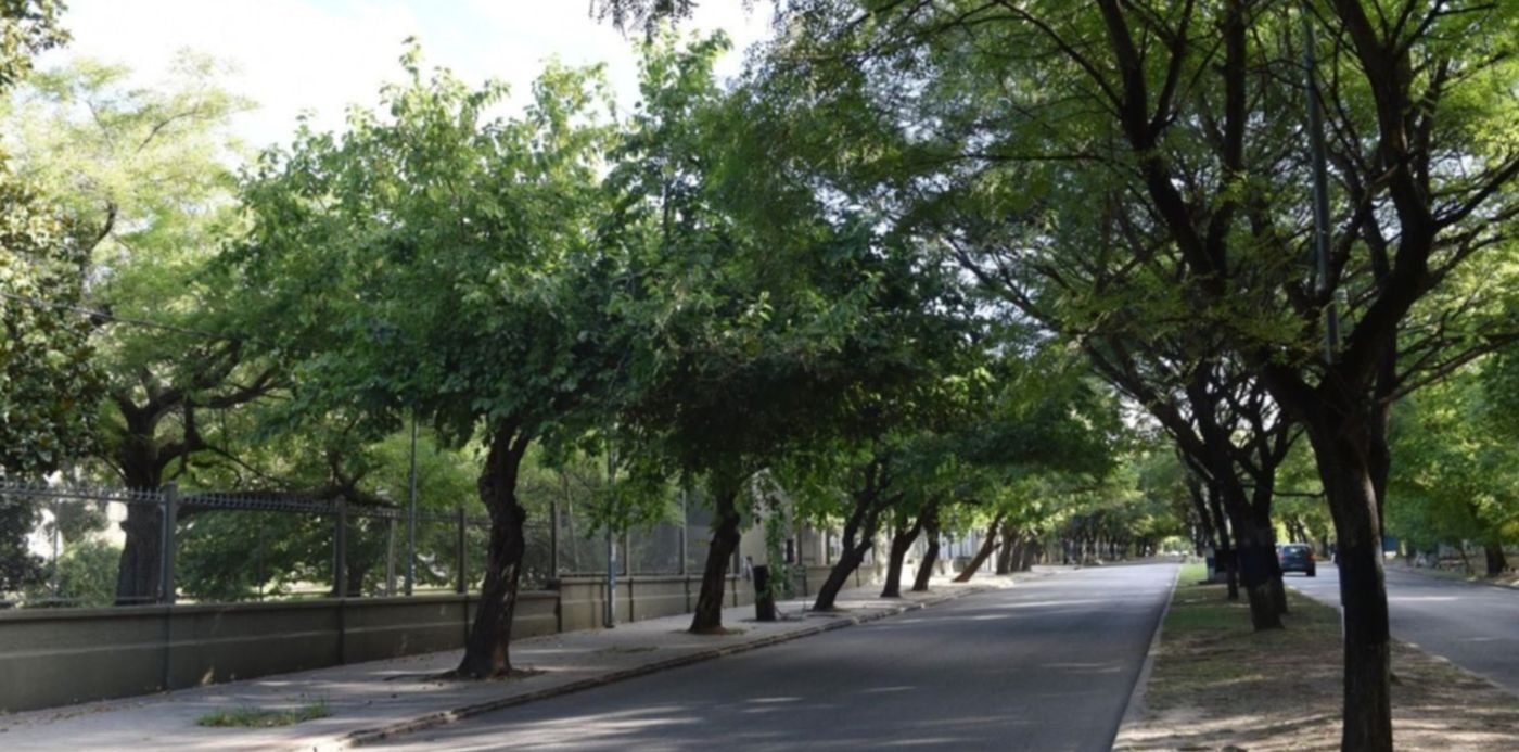 1615079239223.jpeg?x=3&y=139&width=1251&height=626&rotate=0&scaleX=1&scaleY=1&ow=1280&oh=853&&cw=1920&ch=950