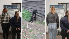 rescataron a perros abandonados y la justicia imputo a dos mujeres por maltrato animal rescataron a perros abandonados y la justicia imputo a dos mujeres por maltrato animal