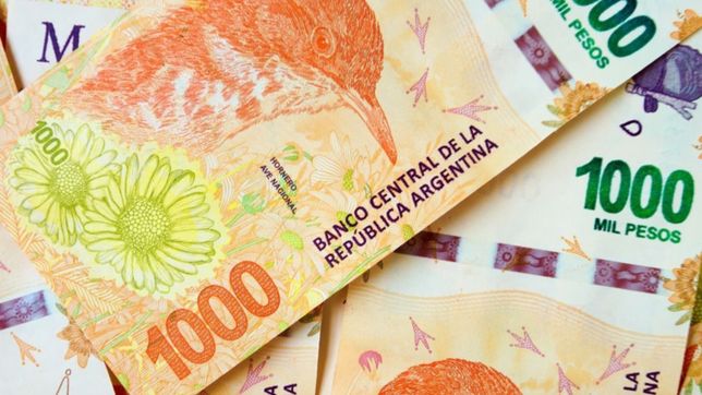 explican como reconocer los billetes falsos de 1000 pesos que aparecieron en la plata