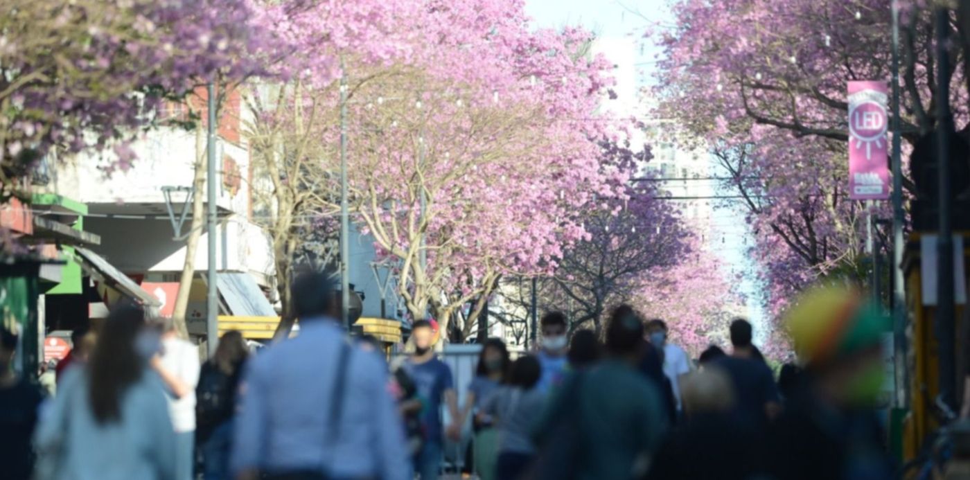 1603415530760.jpg?x=21&y=215&width=1466&height=733&rotate=0&scaleX=1&scaleY=1&ow=1500&oh=996&&cw=1920&ch=950