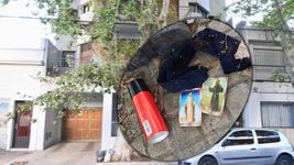 el drama de un barrio de la plata donde marcan las casas con estampitas para robarlas el drama de un barrio de la plata donde marcan las casas con estampitas para robarlas