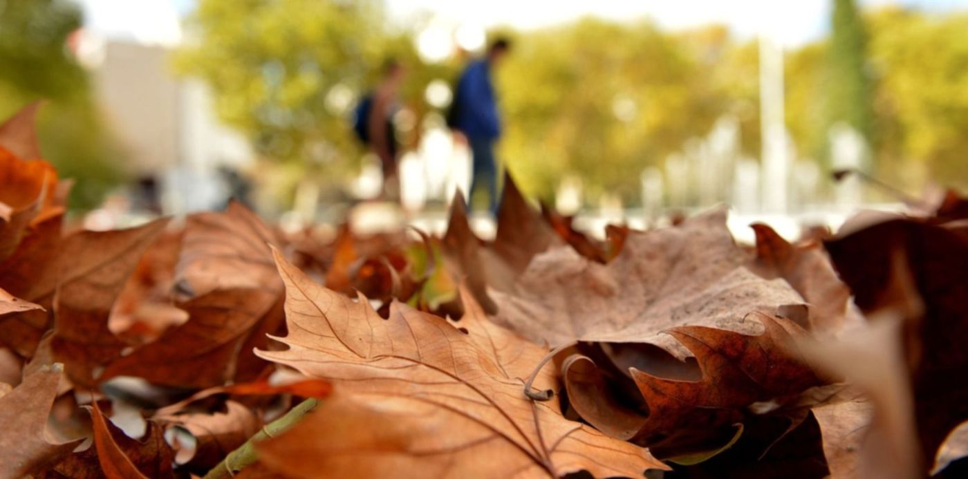 1557516590396.jpg?height=746&x=4&y=179&width=1492&rotate=0&scaleX=1&scaleY=1&ow=1500&oh=997&&cw=1920&ch=950