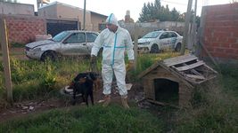 la justicia le quito la tenencia de dos perritos a un vecino porque dormian mojados y sin refugio