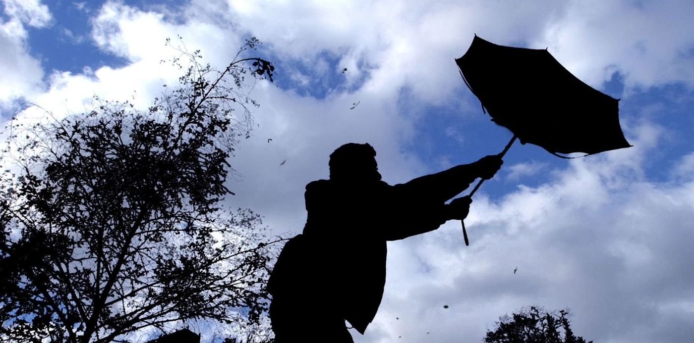 1608410025839.jpg?x=6&y=58&width=1478&height=739&rotate=0&scaleX=1&scaleY=1&ow=1500&oh=984&&cw=1920&ch=950