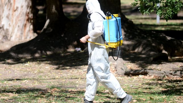 ¿en que barrios de la plata fumigaran este miercoles contra los mosquitos?