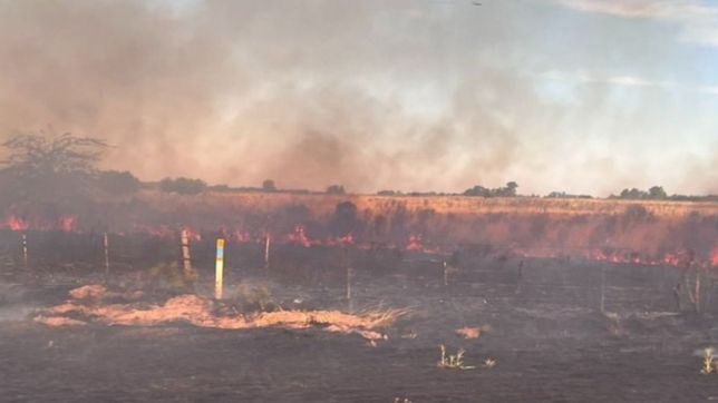 impactante incendio en ruta 2, a la altura de haras del sur