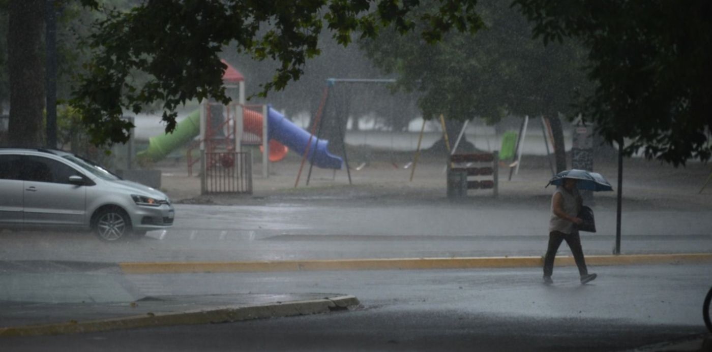 1577730865399.jpg?x=14&y=235&width=1479&height=739&rotate=0&scaleX=1&scaleY=1&ow=1500&oh=996&&cw=1920&ch=950