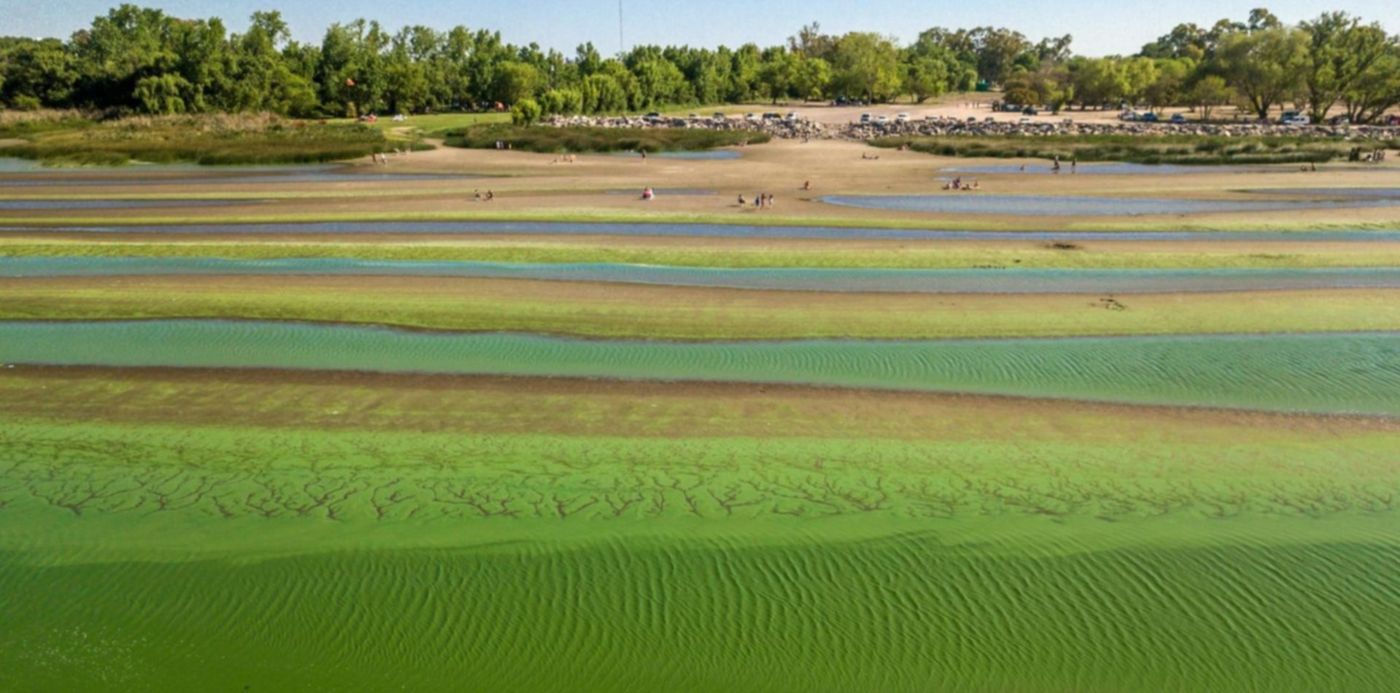 1606098599901.jpg?x=4&y=112&width=1485&height=743&rotate=0&scaleX=1&scaleY=1&ow=1500&oh=1124&&cw=1920&ch=950