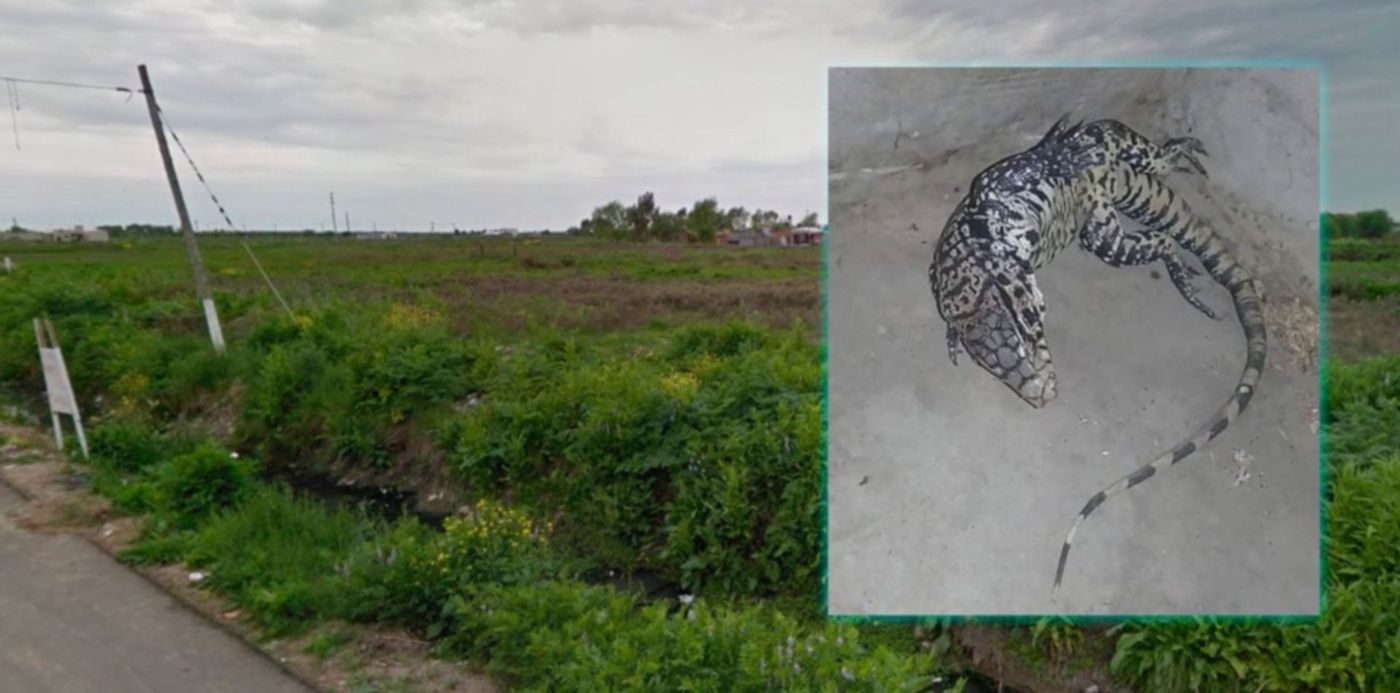 1549278797304.jpg?y=57&height=585&scaleY=1&ow=1215&oh=684&x=42&width=1170&rotate=0&scaleX=1&&cw=1920&ch=950