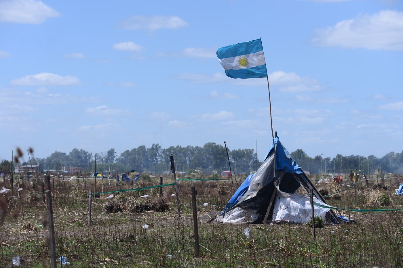 Usurpaciones Megatoma de Los Hornos (1).JPG