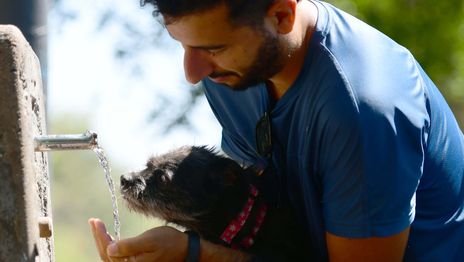 Tras el alerta por tormentas, La Plata amaneció con un sol radiante y sigue el calor Tras el alerta por tormentas, La Plata amaneció con un sol radiante y sigue el calor