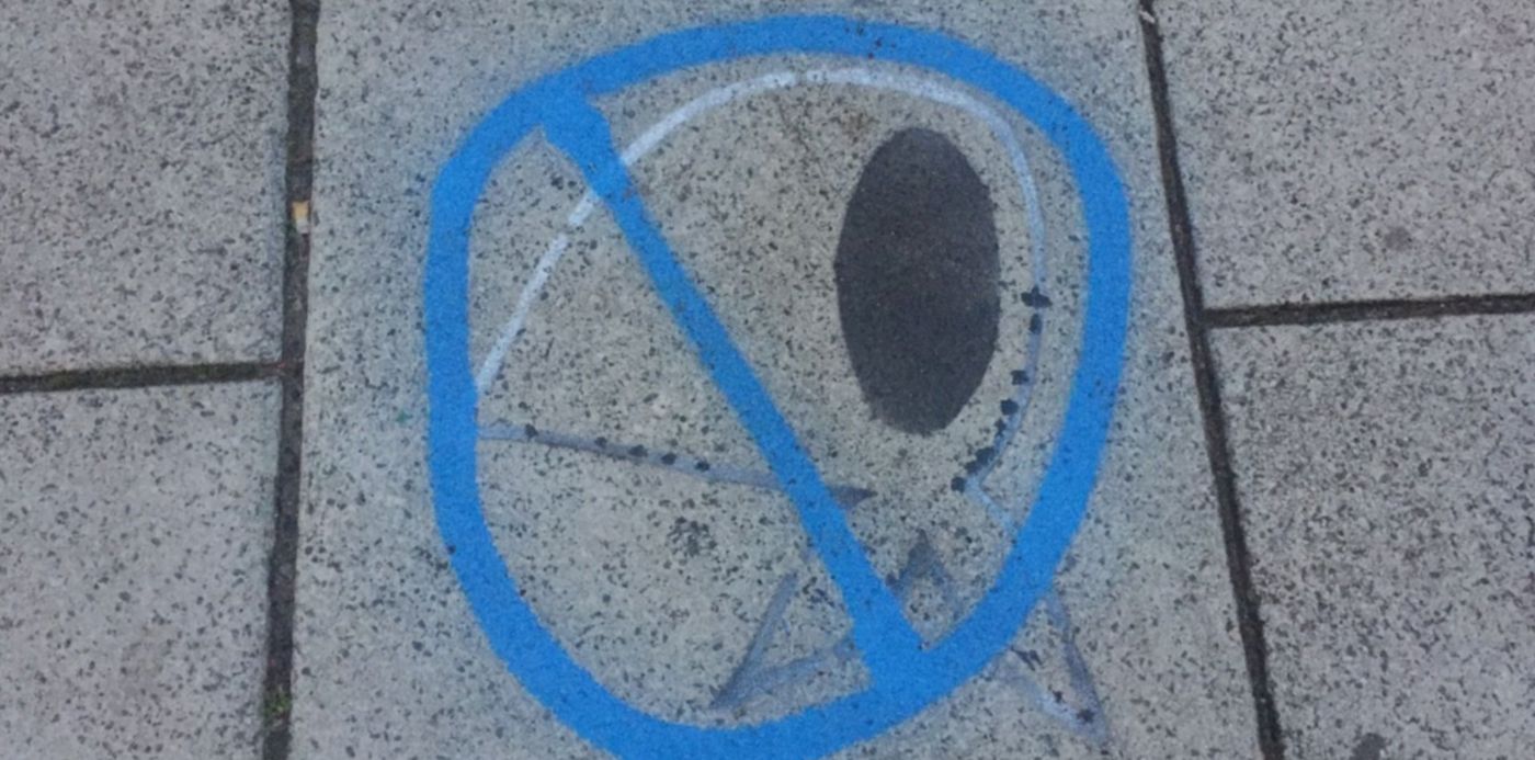 1528715720083.jpg?rotate=0&x=8&width=1463&height=731&ow=1500&oh=1125&y=206&scaleX=1&scaleY=1&&cw=1920&ch=950