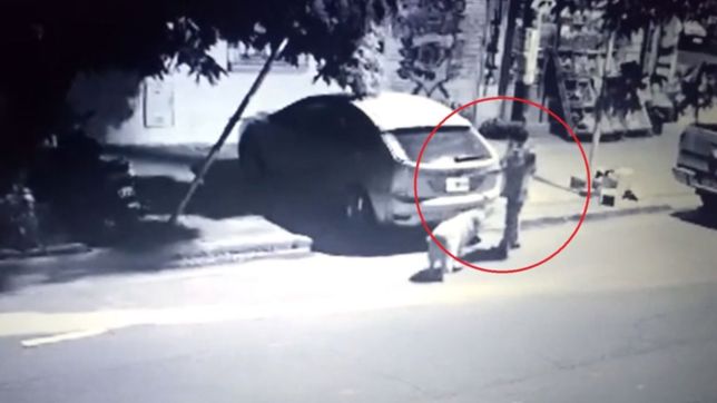video: salio a pasear a su perro por la plata y rayo un auto que estaba estacionado