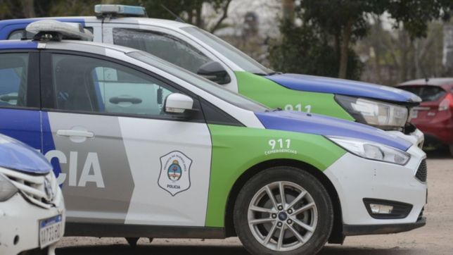 robaron en cinco casas de la plata y hasta quisieron envenenar a los perros