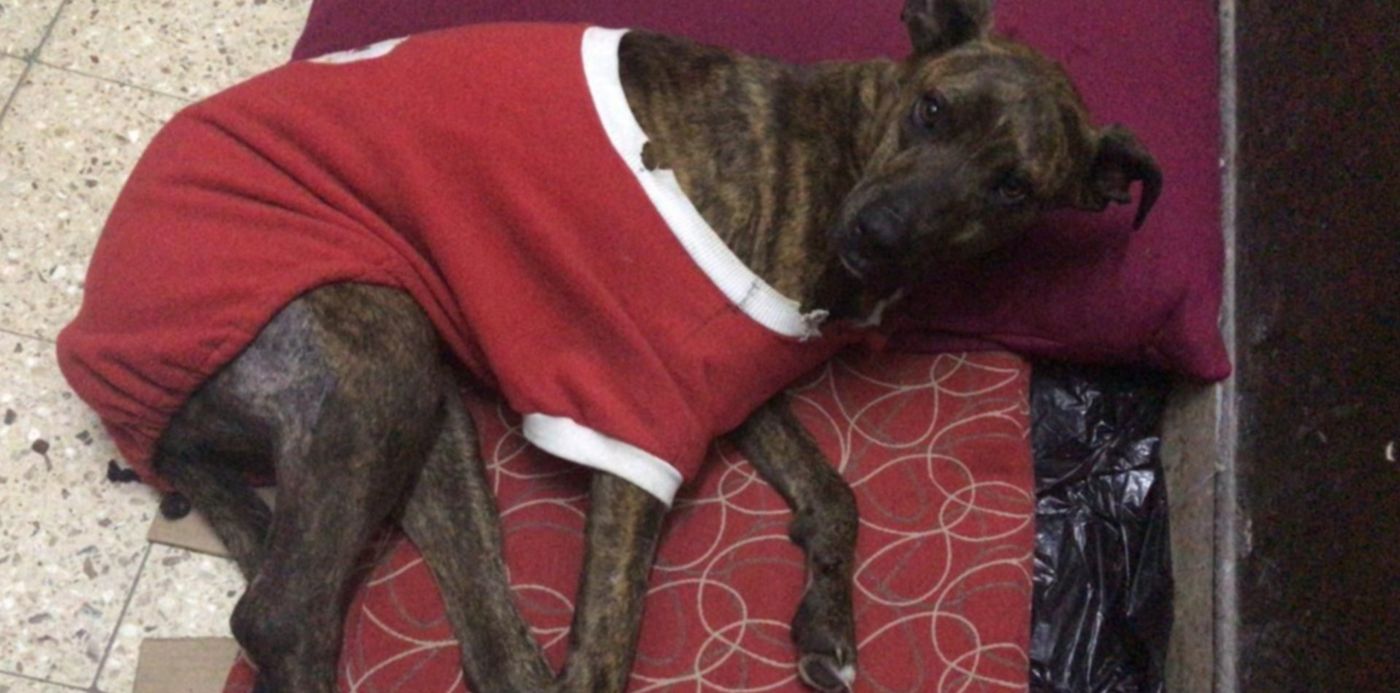 1559604550793.jpg?ow=1280&oh=720&x=1&width=1274&rotate=0&scaleY=1&y=3&height=637&scaleX=1&&cw=1920&ch=950