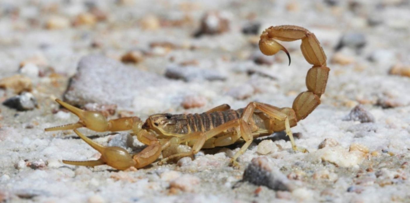 1579531332298.jpg?y=65&rotate=0&scaleY=1&ow=1500&oh=842&x=29&width=1453&height=726&scaleX=1&&cw=1920&ch=950