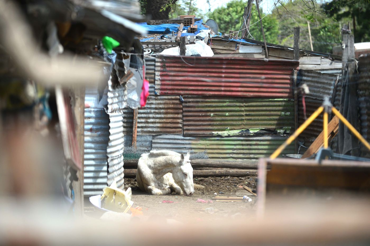 Asentamiento vías del Bosque (8).JPG