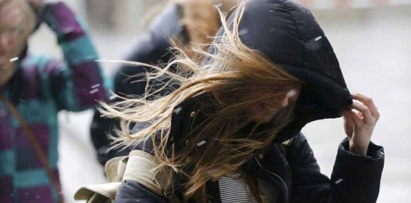 1636726113727.jpg?x=8&y=112&width=1488&height=744&rotate=0&scaleX=1&scaleY=1&ow=1500&oh=1065&&cw=1920&ch=950