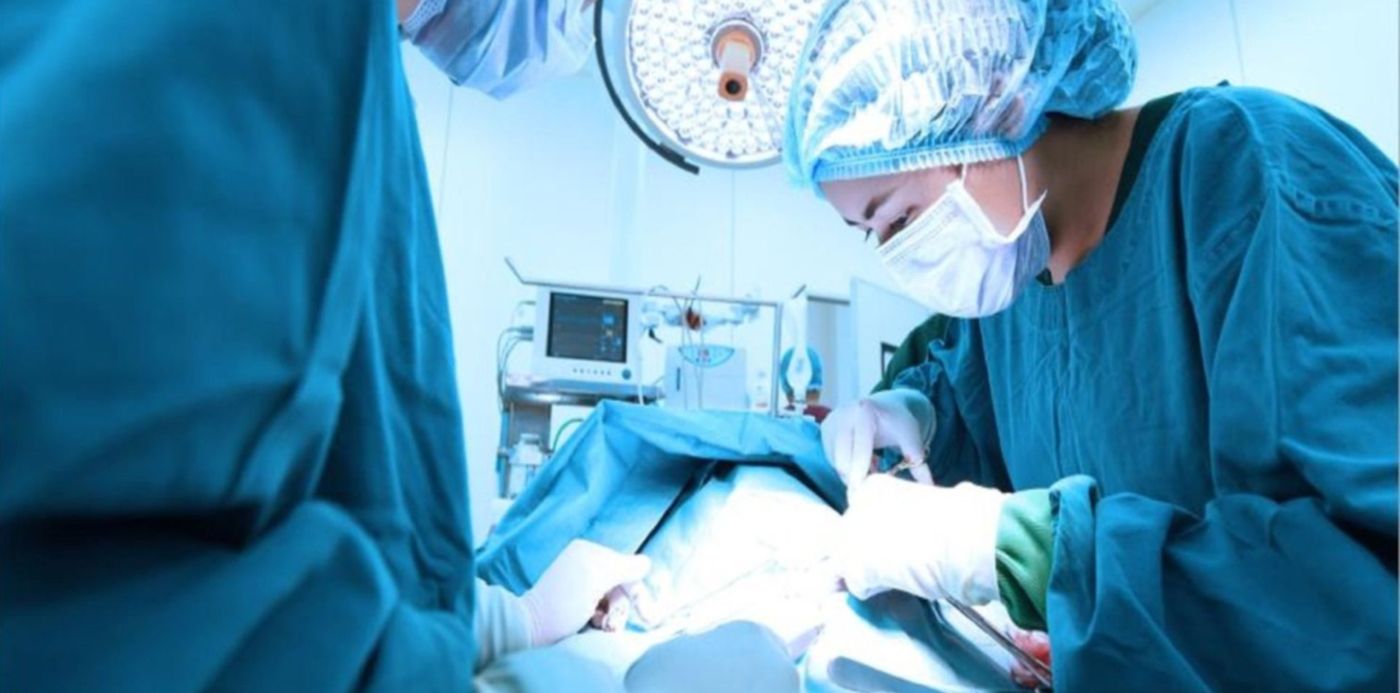 1556133997279.jpg?x=7&width=1494&height=747&ow=1500&y=174&rotate=0&scaleX=1&scaleY=1&oh=1001&&cw=1920&ch=950