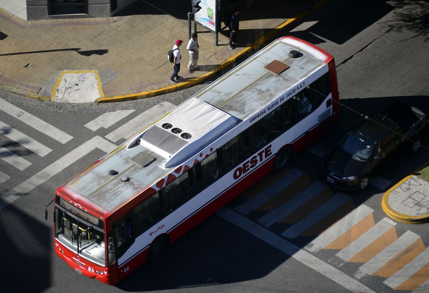 Micros Colectivos (1).JPG