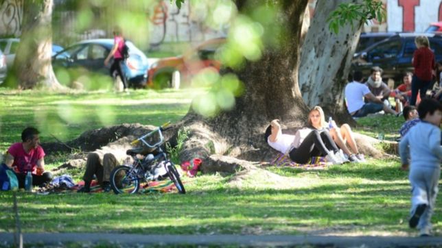 jueves fresco pero con sol en la plata: asi va a estar el clima el fin de semana