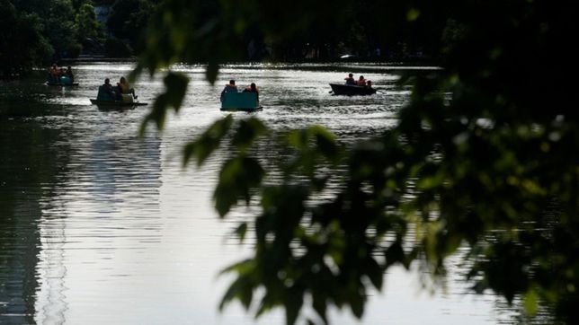 arboles, senderos y dos lagos: como es el nuevo bosque que planean crear berisso y la unlp