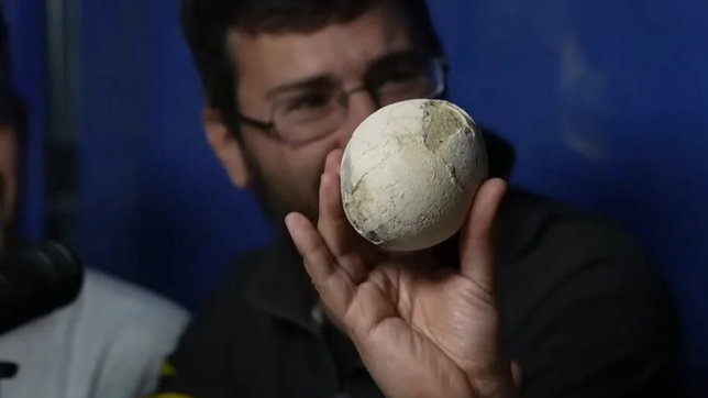 paleontologos de la unlp son protagonistas de los increibles hallazgos de fosiles de dinosaurios en rio negro