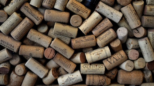 la fiesta del vino de la costa de berisso ya tiene fecha