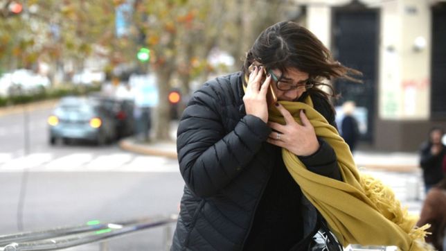 alerta amarillo: renuevan las advertencias por fuertes vientos y lluvia en la plata