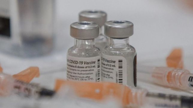 aseguran que la efectividad de la vacuna de pfizer cae a 6 meses de ser aplicada
