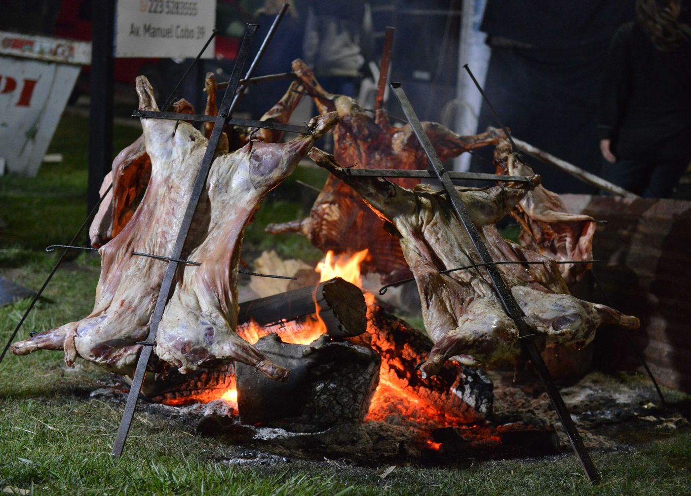 Fiesta Cordero