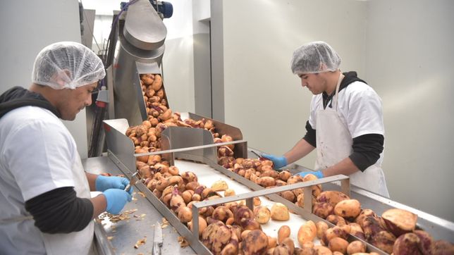 la municipalidad y la unlp trabajan para atender la crisis alimentaria y habitacional en la plata