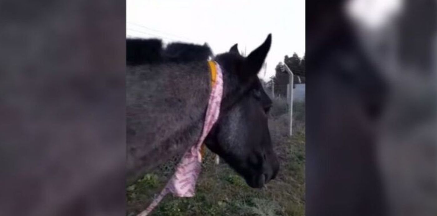 1653226911426.jpg?x=19&y=7&width=772&height=386&rotate=0&scaleX=1&scaleY=1&ow=800&oh=400&&cw=1920&ch=950