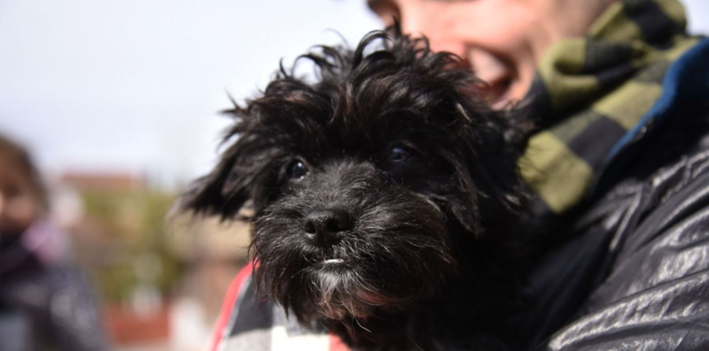 1649260268963.jpg?x=10&y=67&width=1500&height=750&rotate=0&scaleX=1&scaleY=1&ow=1500&oh=1000&&cw=1920&ch=950